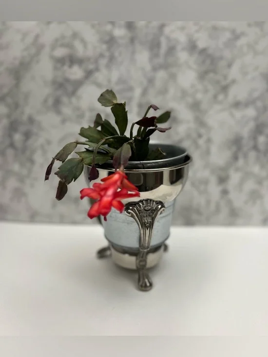 Vintage Silver Footed Planter Rim Stand - 7" Ornate Flower Pedestal - Picture 7 of 8